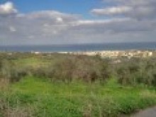 Development Plot For Sale Close To..