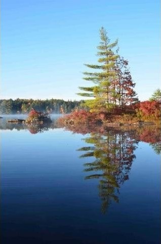 Land For Sale: Lot Porcupine Lake.. - 2