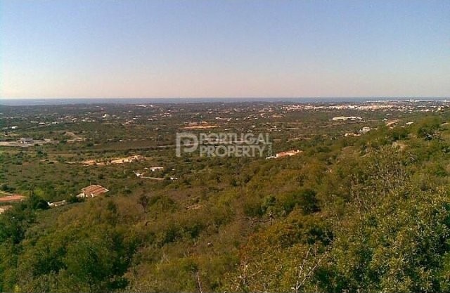 Rustic Land - 2