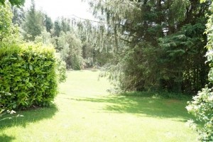 Detached Property With Land For Horses - 2
