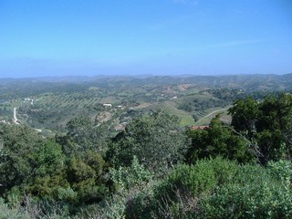 For Sale: Plot In Central Algarve..