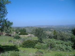 For Sale: Plot In Central Algarve.. - 2