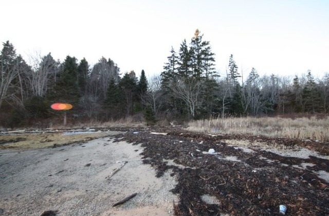 Land For Sale: 125 Mason's Point Road.. - 2