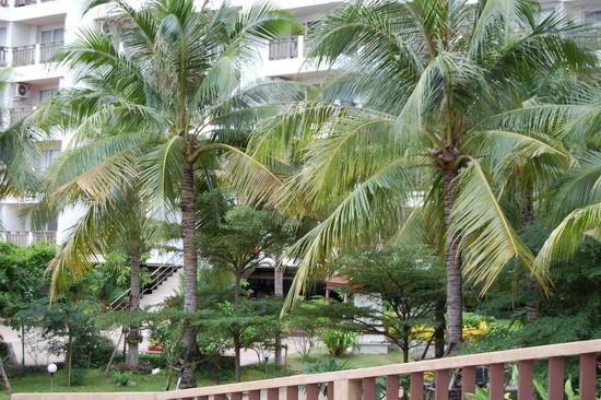 royal hill large luxury one bed / 2.. - 2