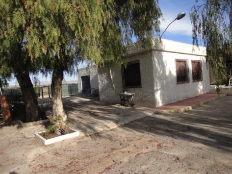 Finca Elche - 2