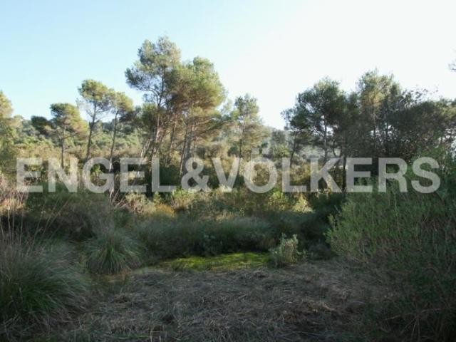 Plot of land with a construction permit - 2