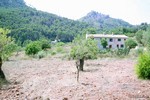 3 Bedrooms - Finca - For Sale