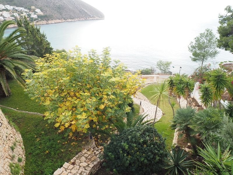 5 Bedrooms - Villa - Alicante - For Sale