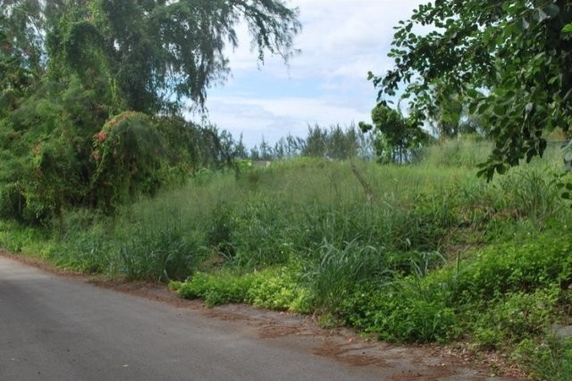 Property For Sale: Balls Plantation..