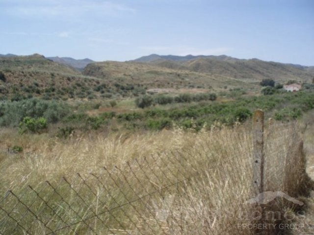 Ref: 1353 - Cortijo/Finca for Sale in.. - 2