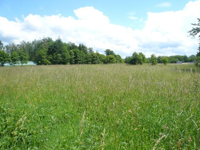 Approx. 2.5 Acre Building Land Divided..