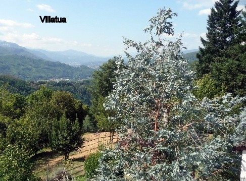 Country/farmhouse - For Sale - Bagni di..
