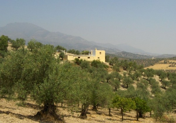 2 bed Villa in ALOZAINA - 2