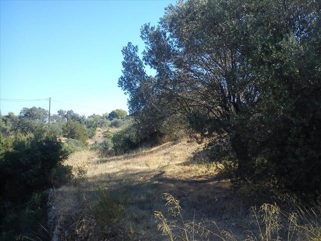B296 - Land parcel of 5064 sqm in.. - 2