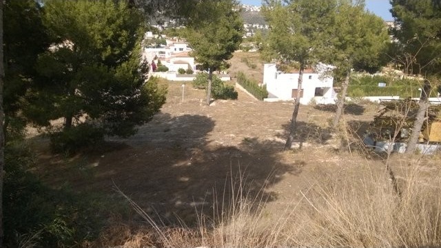 Plots in Moraira