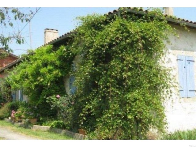Paradise on 3,5 Hectares