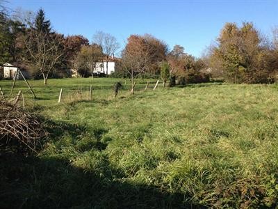 Site - 2
