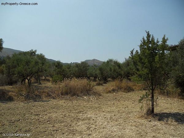 3 Bedrooms - Villa - Zakynthos - For.. - 2