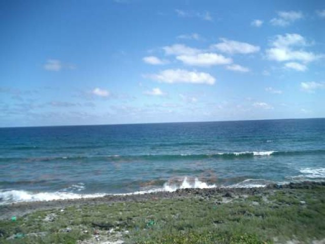 Singlefamilyvacant - Dreaming of.. - 2
