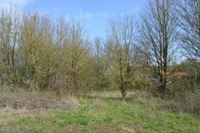 Village Building Plot - 2