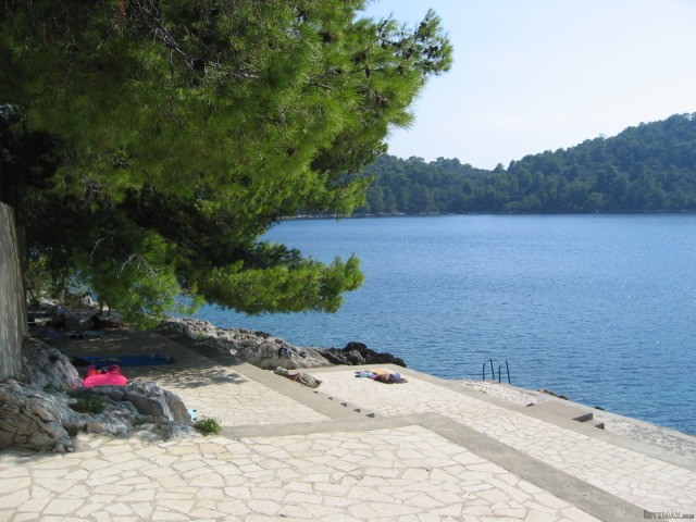 7 Sea View Apartments