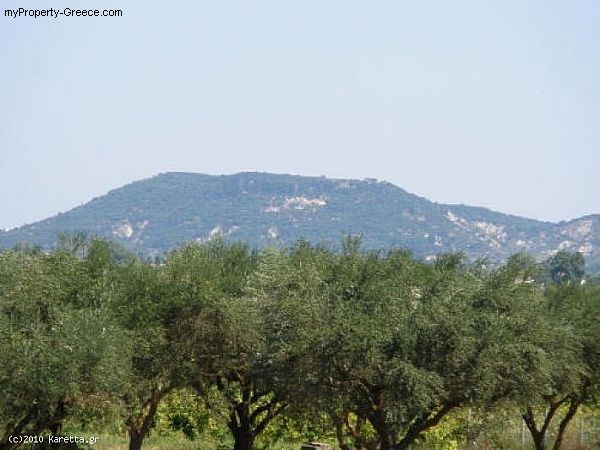 Land - Zakynthos - For Sale