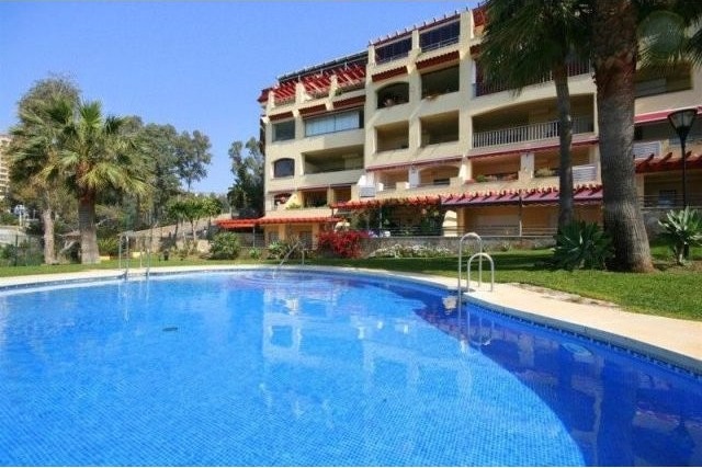 Apartment - Looking for a Beachfront.. - 2
