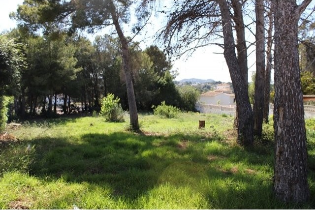 Plot in Javea