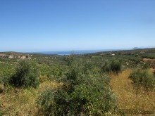 Property For Sale West Crete