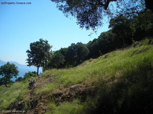 Land - Zakynthos - For Sale - 2