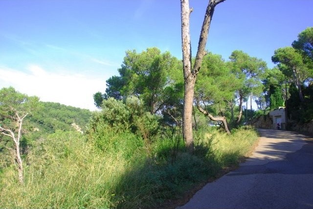 Building plot in Begur - 2