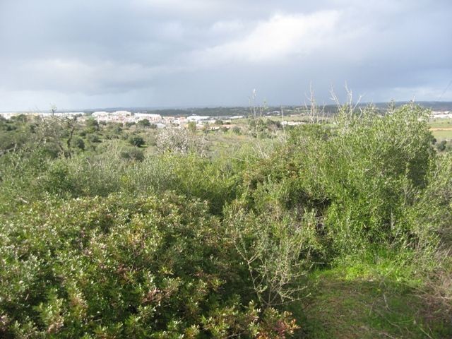 Apartment - Algarve - For Sale