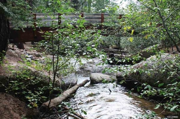 Land For Sale: South Lake Tahoe.. - 2
