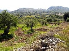 Ground For Sale In Crete - 2