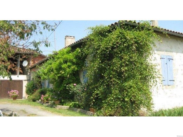 Paradise on 3,5 Hectares - 2