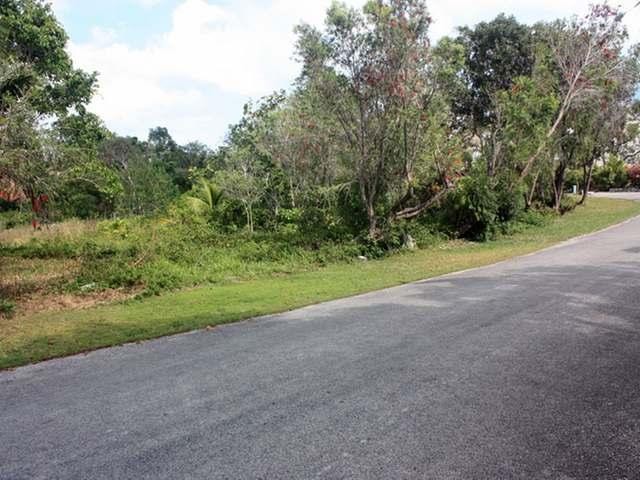 Singlefamilyvacant - Oversized vacant.. - 2