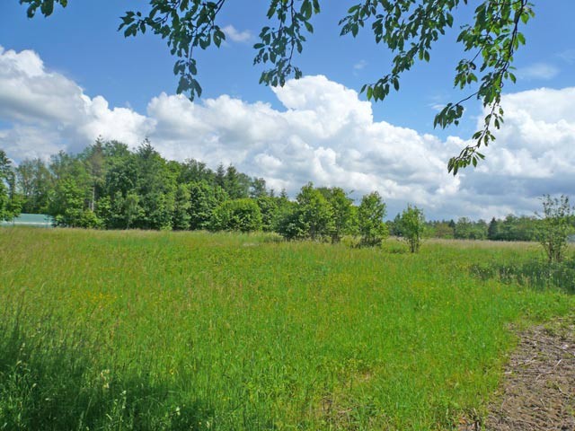 Approx. 2.5 Acre Building Land Divided.. - 2