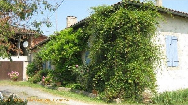 *small Paradise On 3,5 Ha Of Land*..