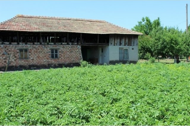 Regulated plot of land with 100 sq.m...
