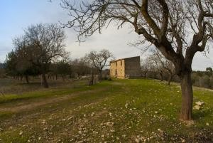 Sant Llorenç, impressing views to the.. - 2