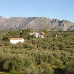 Cortijo, Antequera - 2