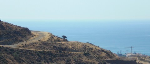 Land - A total of 12 plots,wonderfully..
