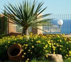 Apartmente with private garden