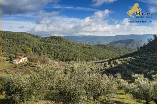 Finca Landsitz Jagdrevier Jaen..