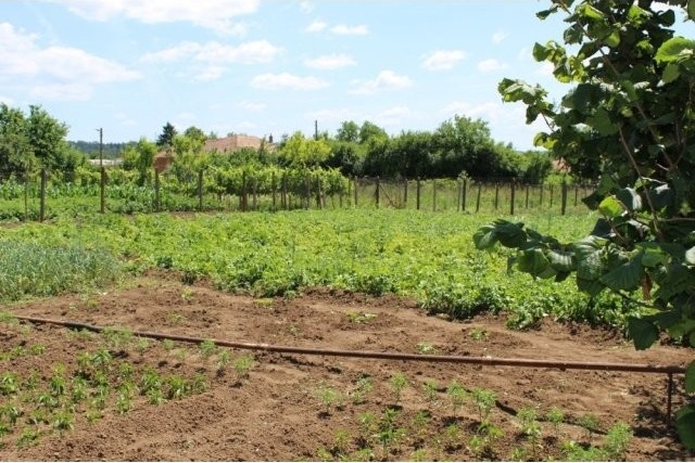 Regulated plot of land with 100 sq.m... - 2