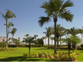 1 bedroom Condominium For Sale:..