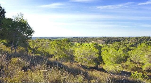 Plots for sale in Campoamor