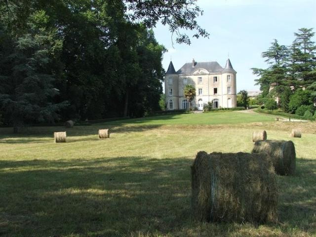 9 bedroom Castle For Sale: 16000.. - 2