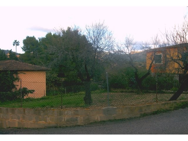 Plot - Capdella