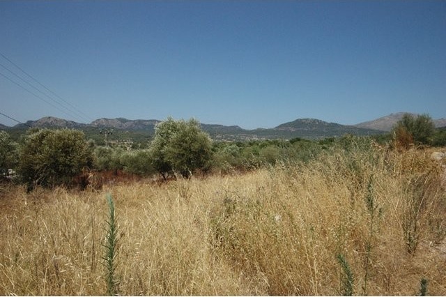 Plot - Calvia